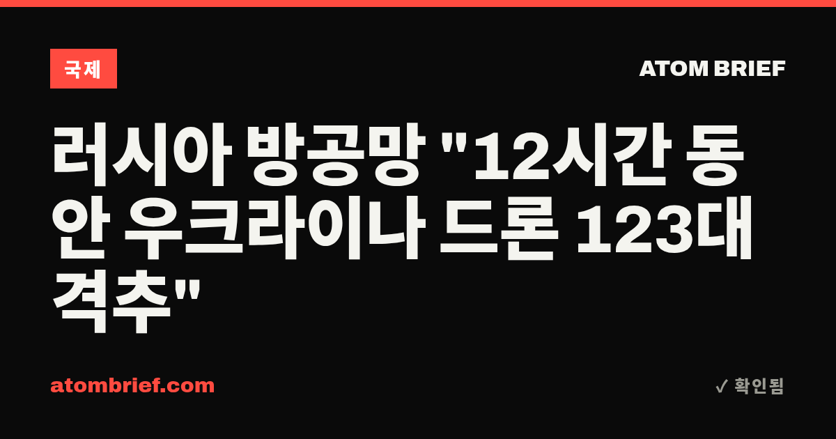 러시아 방공망 "12시간 동안 우크라이나 드론 123대 격추"