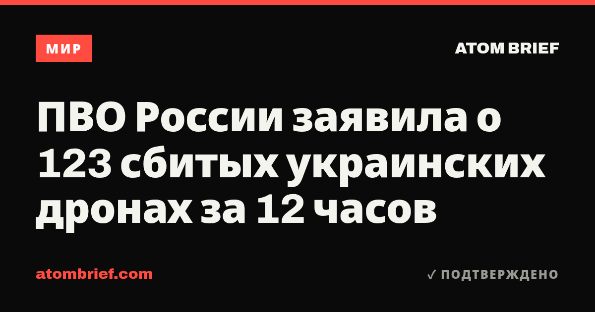 ПВО России заявила о 123 сбитых украинских дронах за 12 часов