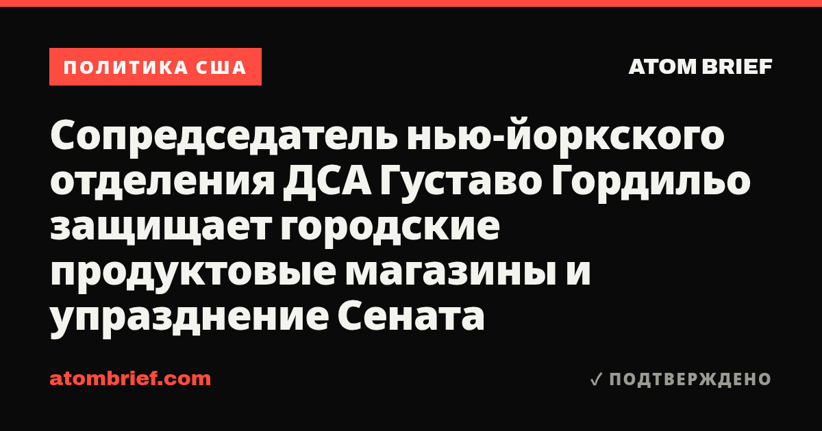 Сопредседатель нью-йоркского отделения ДСА Густаво Гордильо защищает городские продуктовые магазины и упразднение Сената