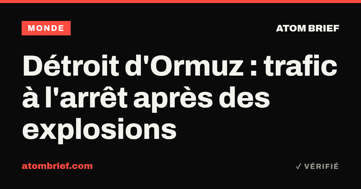 Détroit d'Ormuz : trafic à l'arrêt après des explosions