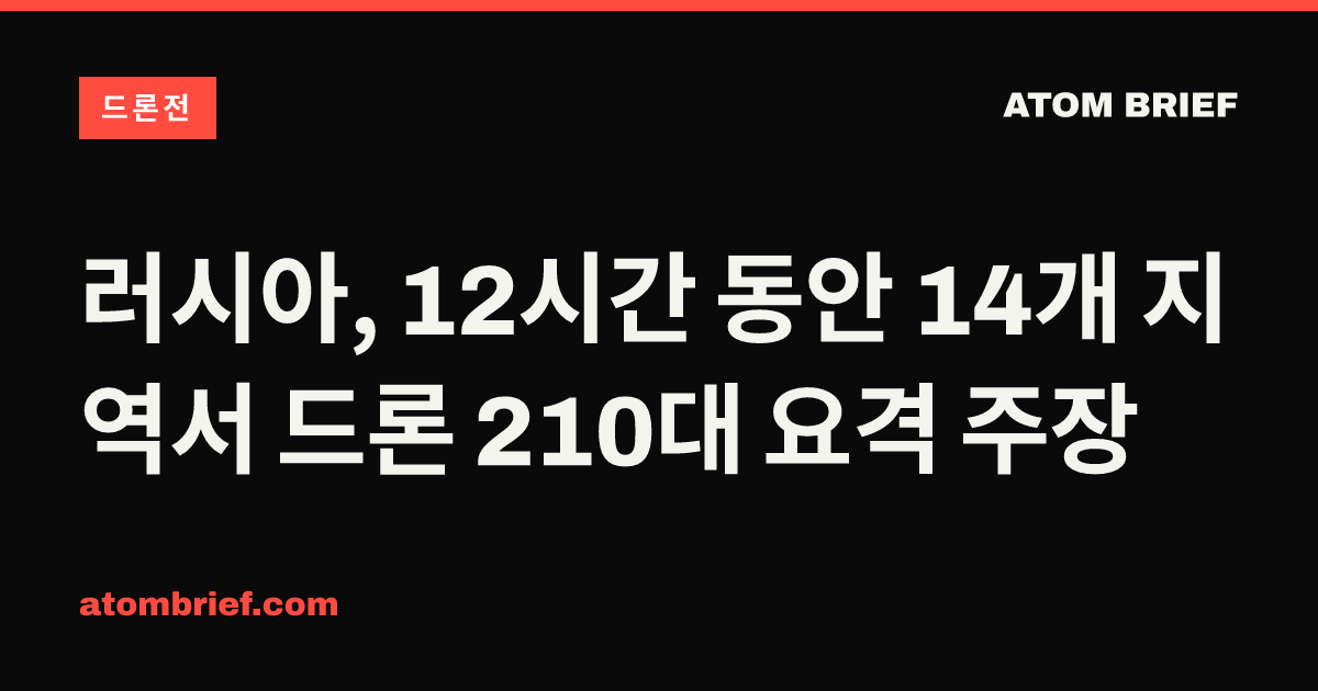 러시아, 12시간 동안 14개 지역서 드론 210대 요격 주장